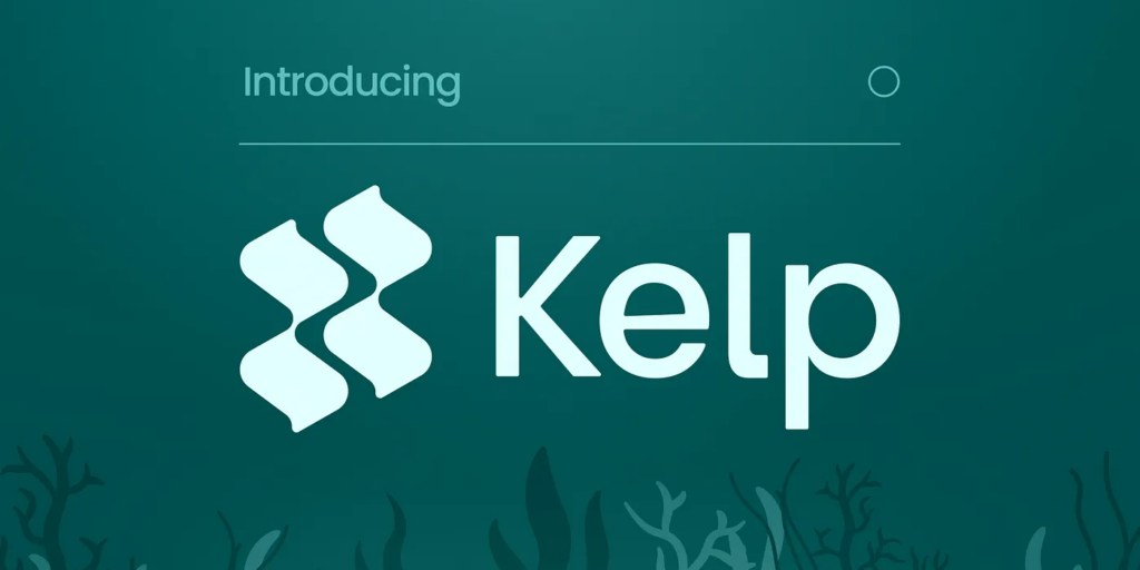 Kelp DAO 完成 900 萬美元融資