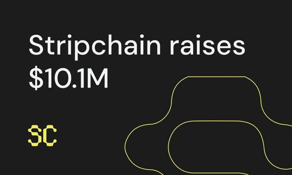 互操作性協議 Stripchain 完成 1000 萬美元融資