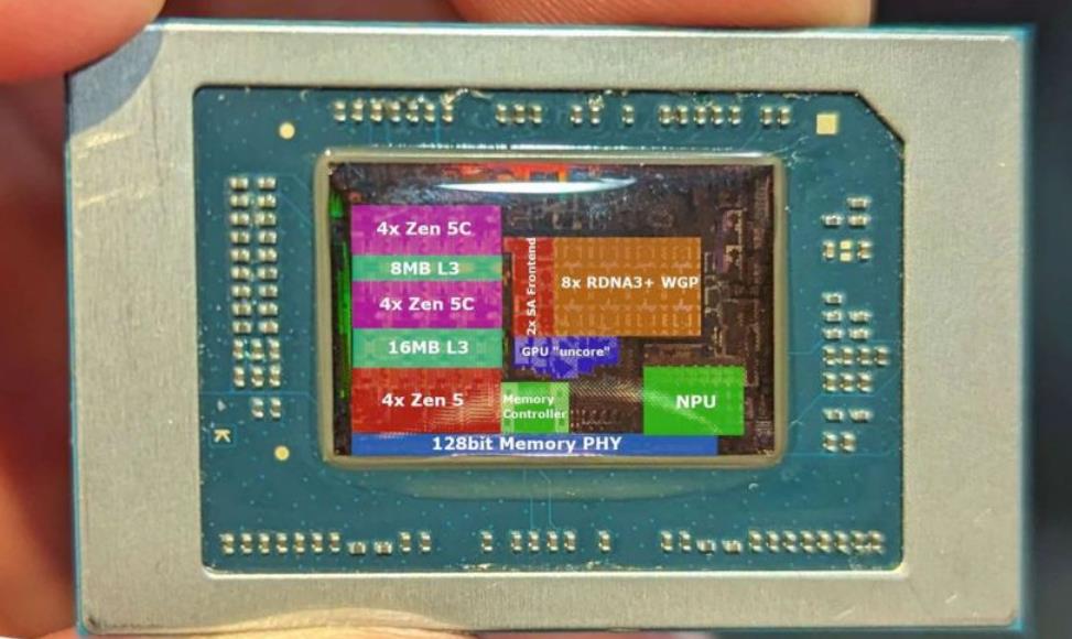 AMD發表全新Ryzen AI 300系列：揭秘Strix Point處理器核心佈局