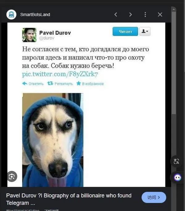 有TG帳號見者有份！「黑白狗 DOGS」無門檻空投怎麼領？