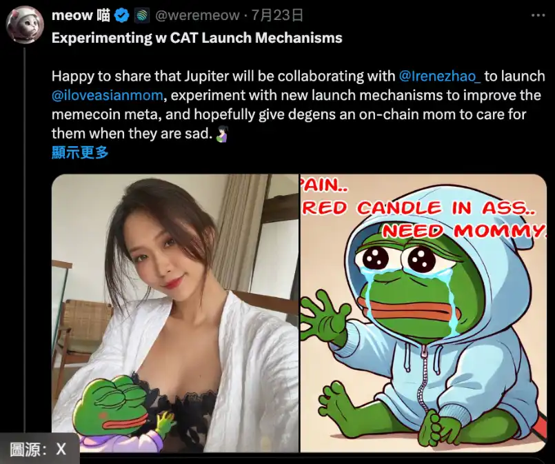 Jupiter與Irene Zhao合作惹爭議，鏈上偵探ZachXBT曝光後者黑歷史