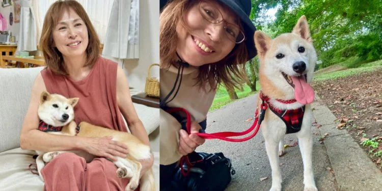 川普喊單不如狗？柴犬「Neiro」引爆迷因幣 $NEIRO 暴漲 1250 倍