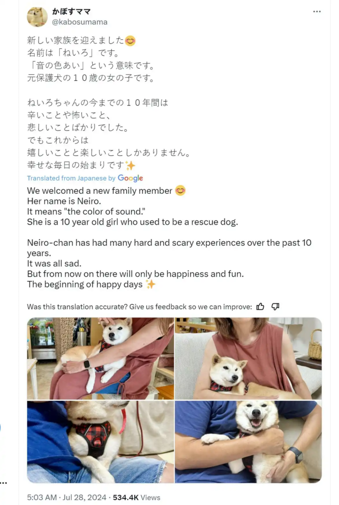 複盤Meme新幣Neiro：兩天市值飆升至五千萬美元，Ansem助力推動