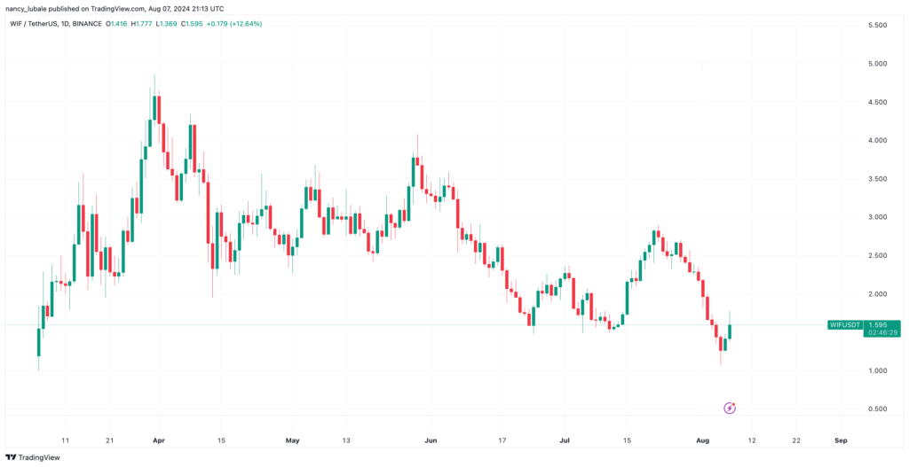 Dogwifhat 以13%領漲市場——是什麼推動了其價格上漲？