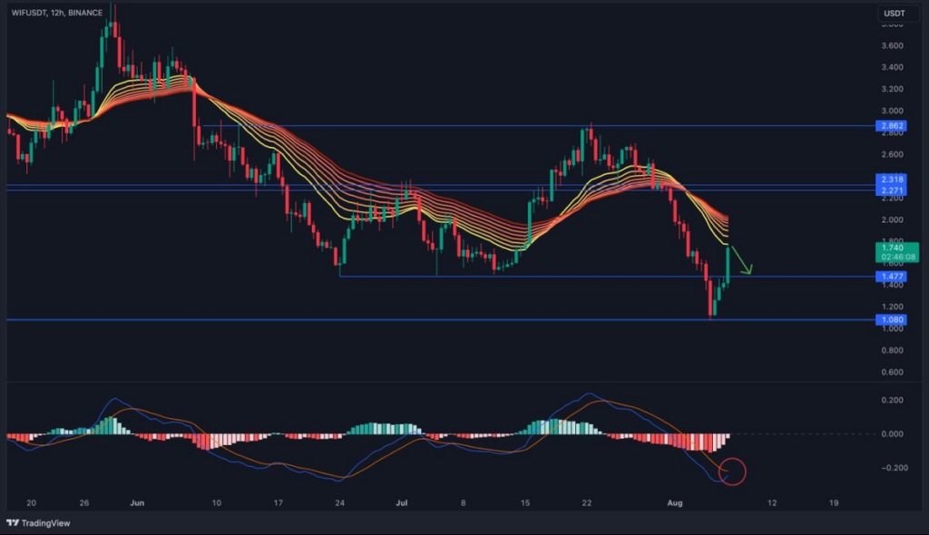 Dogwifhat 以13%領漲市場——是什麼推動了其價格上漲？
