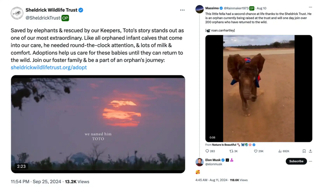 Solana變「瘋狂動物城」，以太坊機器人異軍突起｜meme今天炒什麼？