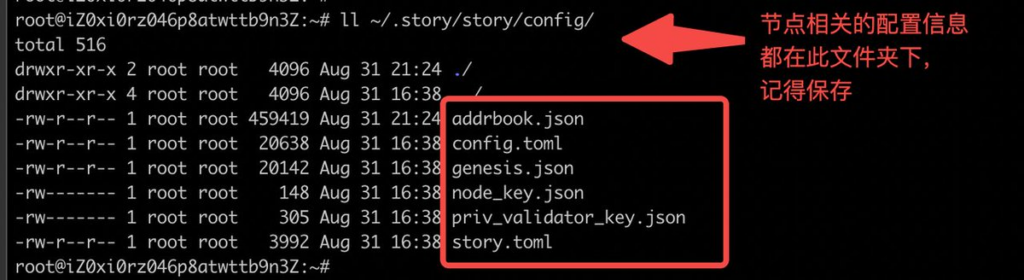 融資1.34億｜Story Protocol 節點部署教程
