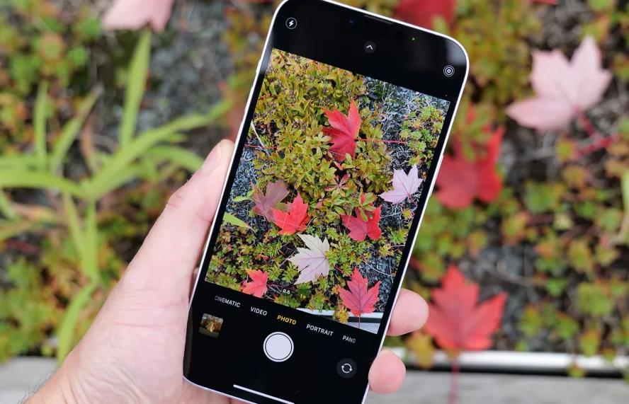 蘋果推出iPhone 14 Plus後置相機免費維修計劃